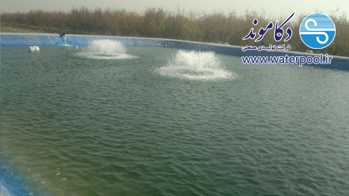 طراحی سایت طراحی سایت